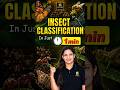 Insect Classification #insects #insectsclassification #entomology