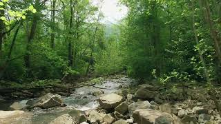 Flowing Bonds: Harmonic Music with Tranquil Waterscapes
