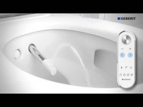 Video: Toaletná Dekorácia (92 Fotografií): Možnosti Zdobenia Stien Kúpeľne V Byte, Ako Zdobiť Steny Okrem Dlaždíc, Malá Toaleta S Laminátom