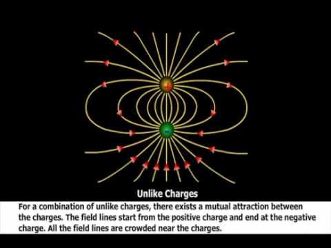 Sketch The Electric Lines Of Force For Two Equal Positive