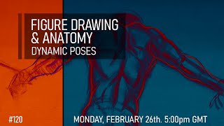 Figure Drawing &amp; Anatomy - Dynamic Poses #120