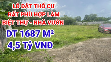 🛑Khám phá lô đất thổ cư 1687m Tại Củ Chi giá hơn 4 tỷ chút xíu - Bđs Quang Minh