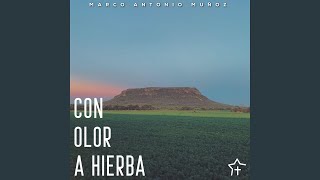 Con Olor a Hierba