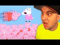 1,000 Peppa Pigs vs. 1 Suzy...