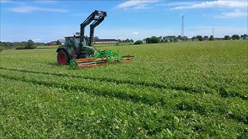 Weed control of docks in ley grassland - CombCut