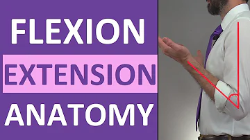 Comment bien faire des flexions ?