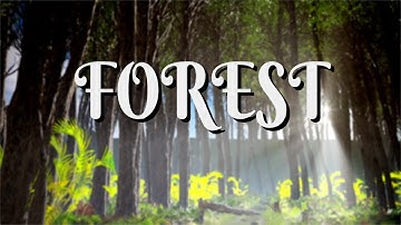 Forest Cinematic with Unreal Engine 4 | Quixel Megascans | Quixel Megascans Trees