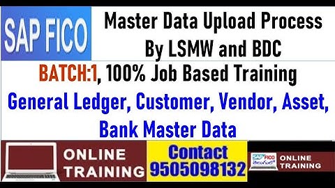 SAP FICO Batch -1|| Master Data Upload||GL, Customer, Vendor, Asset, Bank ||LSMW/BDC|| In English