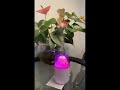 Volcano Humidifier 🌋🔥 Relaxing Mist + LED Lights! Perfect for Your Room