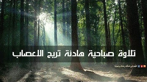 تلاوة صباحية هادئة تريح الأعصاب