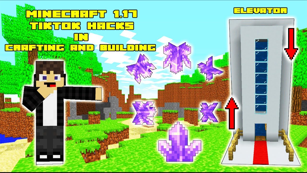 Minecraft 1.17 TikTok hacks in crafting and building | Daosao gamers