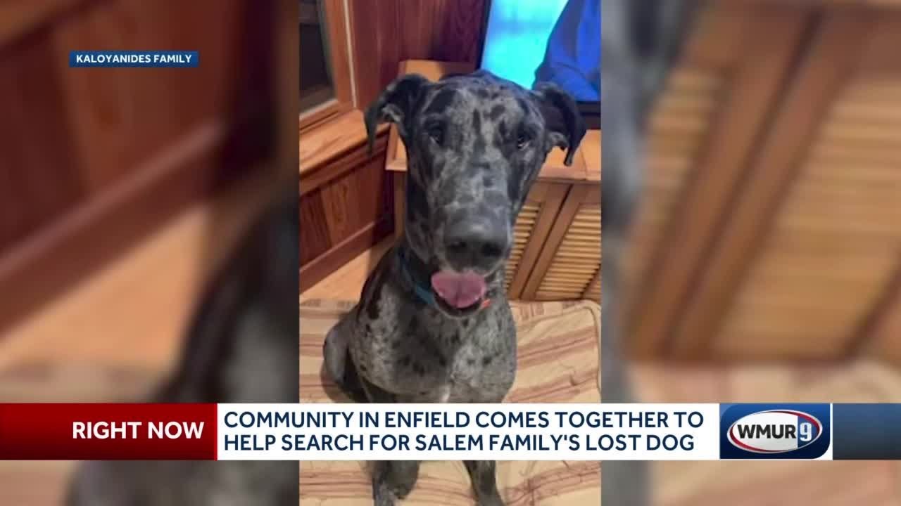 enfield-community-comes-together-to-help-search-for-salem-family-s-lost