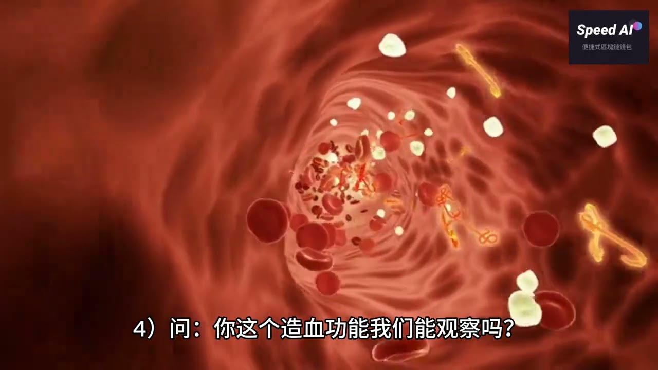 SpeedAi - 课件以外的问题 问与答