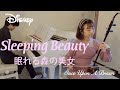 【二胡&times;ピアノ】いつか夢で/眠れる森の美女 Once Upon a Dream/Sleeping Beauty