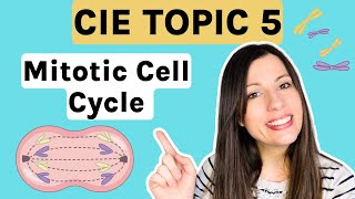 Mitosis and the Cell Cycle - Entire topic CIE A-level Biology (Topic 5)