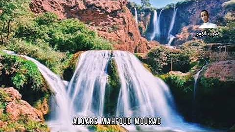 تلاوة حزينة من سورة الزمر للقارئ محفوظ مراد