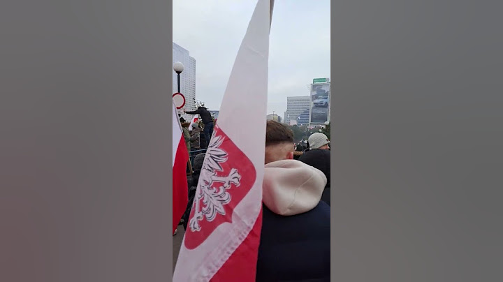 11 listopada Marsz Niepodległości 2024 Warszawa #history #poland #polska #historia #shortvideos
