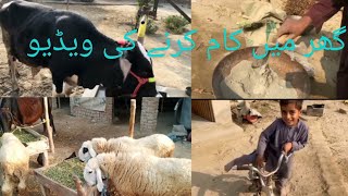 Beautiful Village Life Daily Work Moments In Rural Environment