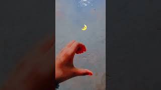 yah soch ke Dil Mera joro se dhadkata hai