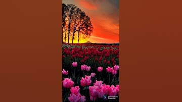 قطوف الآيات ٢٥(هذا ذكر وإن للمتقين لحسن مآب...)