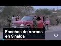 Inseguridad: Ranchos de narcos en Sinaloa - Denise Maerker 10 en punto