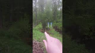 Водоохранная зона
