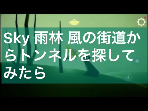 Sky 雨林 風の街道からトンネルを探してみたら