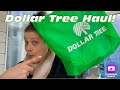 Dollar tree haul  plus bonus footage february 5 2024