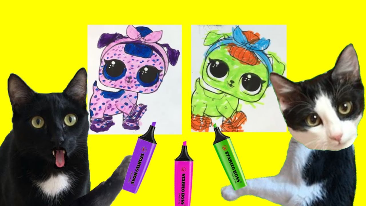 3 marker challenge con gatos Luna y Estrella vs Laia y Ana vs mi perro Cuqui / Videos de gatitos