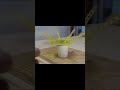 カップ麺の蓋をビタロック