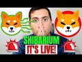 SHIBARIUM BETA IS LIVE!!!! SHIBA INU BREAKING