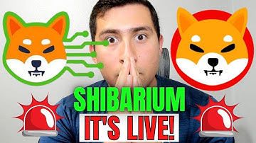 SHIBARIUM BÈTA IS LIVE!!!! SHIBA INU BREKEN