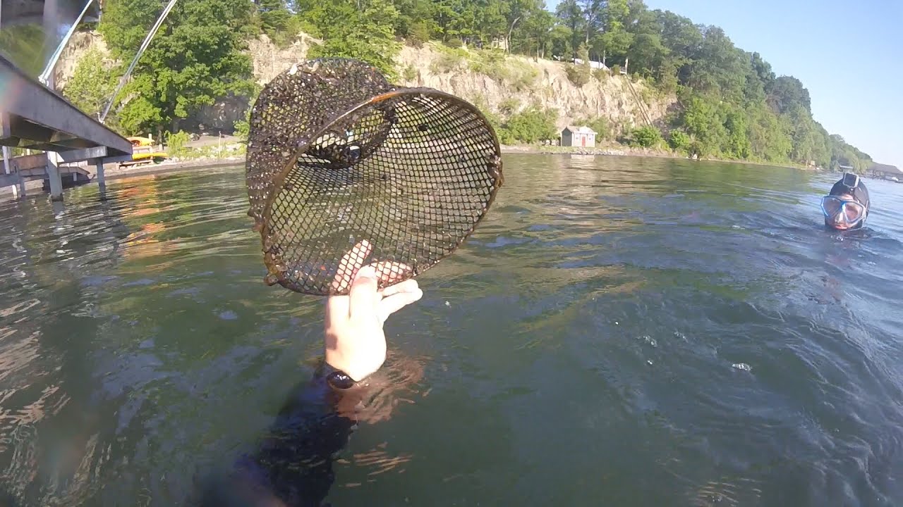 Searching for Underwater Treasure (Seneca Lake) YouTube