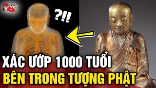 Phát hiện 'XÁC ƯỚP BÍ ẨN' bên trong 'TƯỢNG PHẬT 1000 NĂM TUỔI' | Tin 3 Phút