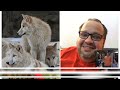صور مشاهير العالم بطريقة فكاهية مشاهير العالم صور مشاهير العالم بطريقة فكاهية مشاهير العالم