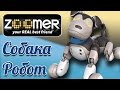 Интерактивная игрушка собака робот Зумер (Zoomer toys) - видео для детей