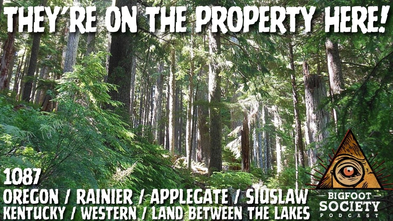 Something Threw a Log at Me in the Oregon Woods and It Got Worse | Bigfoot Society 1087