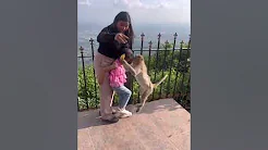 Monkey ne Aru ka sara biscuit Chhin Liya ?? | Nandi Hills mini blog