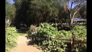 DAY TRIP: Myrtle Creek Botanical Garden and Nursery in Fallbrook, California
