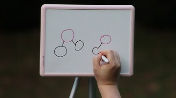 The Surprising Science of Bubbles