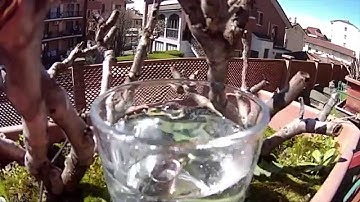 Slow motion HTC RE Camera test • Ridble