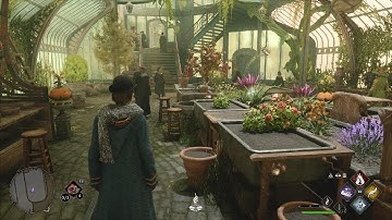Hogwarts Legacy Part 9: 1st Merlin Trial and Herbology Class PS5 4K Gameplay