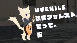 【作業用BGMに！】雑談＆弾き語り！！【Vtuber/エクト】