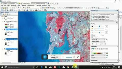 Make a False Colour Composite in ArcGIS (ArcMap).