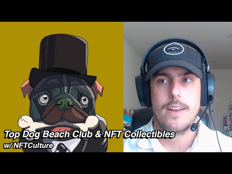 Top Dog Beach Club & The Current Climate of NFT Collectibles with Sophisticated Art Speculator