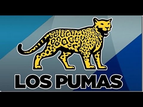 GRUPO LOS PUMAS JUNTO A DJ MUDO.... YouTube