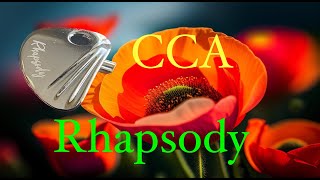 CCA Rhapsody  2 DD + 4 BA Market Disruptor