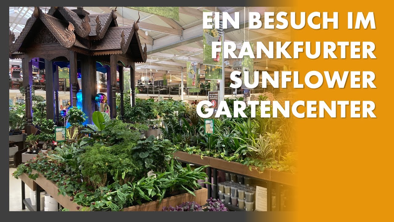 39+ Bilder Von Sunflower Garten-Center, Gartencenter mit gartenmarkt