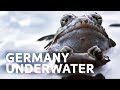 Germanys secret underwater world  all out wildlife