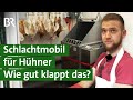 Tierschutz: Hühner schlachten mit mobiler Geflügelschlachtung | Unser Land | BR